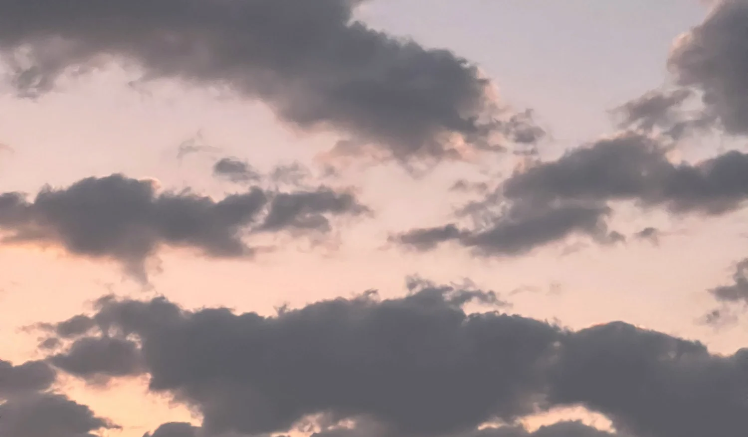 Facundo & Nicole